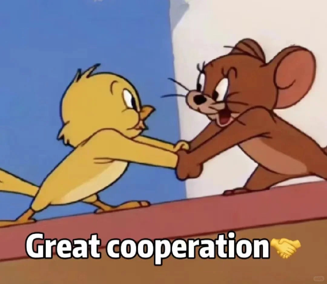 Discovering “Chinese of Hi”: The Unique Charm of Language, Symbols, and Numbers