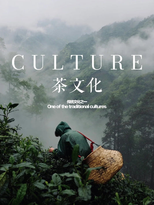 Discover the Charm of Tea Chinese Tea: From Tradition to Modern Lifestyle