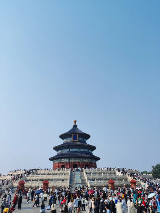 Discover the Cultural Charm of “China King”: Where Tradition Meets Modernity
